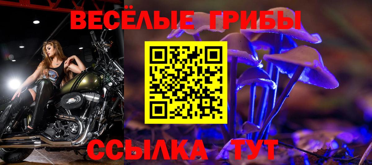 Галлюциногенные грибы мицелий  купить наркотики цена  Похвистнево  Вход с VPN 
