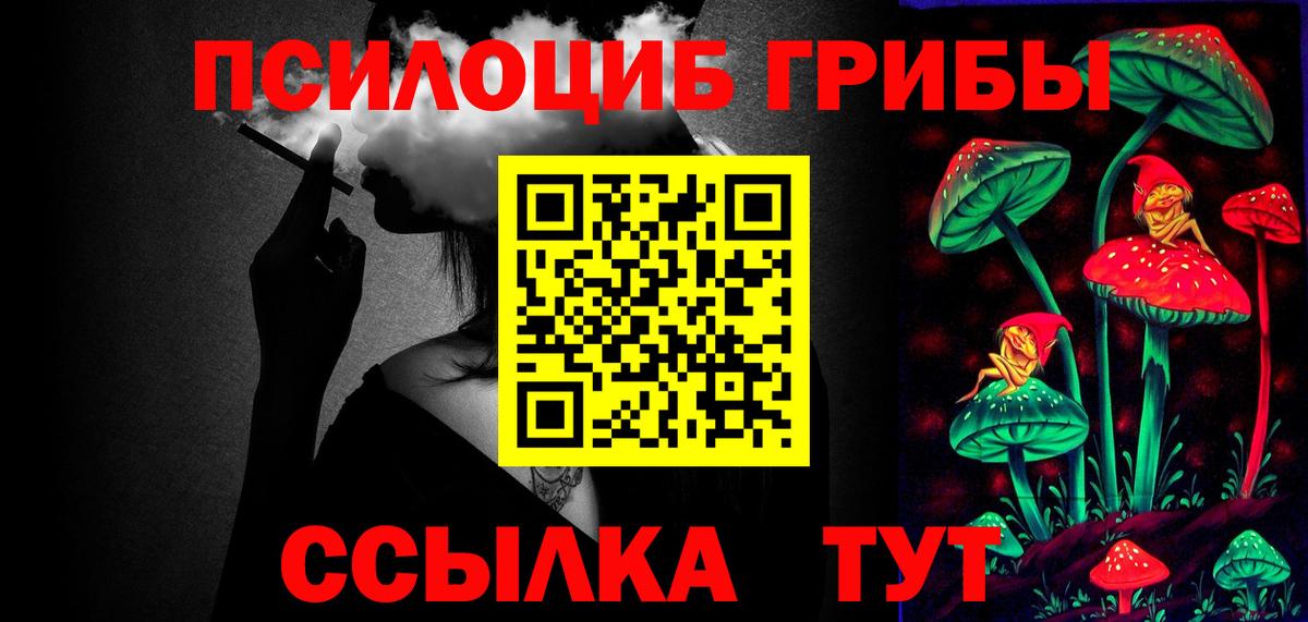 Галлюциногенные грибы Psilocybe Похвистнево