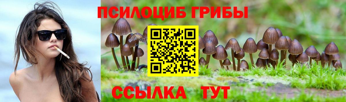 как найти закладки  Псилоцибиновые грибы Psilocybe  Вход с VPN  Похвистнево 