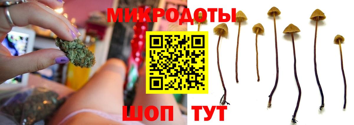 Псилоцибиновые грибы мухоморы Похвистнево